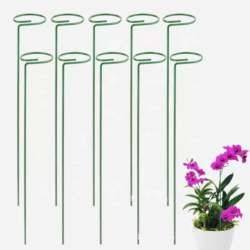 Durable Flower,Rose,Tomatoes Garden Plant Single Stem Garden Climbing Plant Support Ring