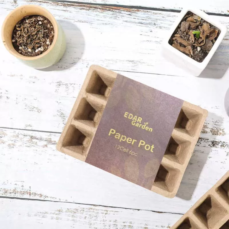 Biodegradable Peat Seed Starter Tray Square 12 Cells Pulp Paper Pot Germination Nursery