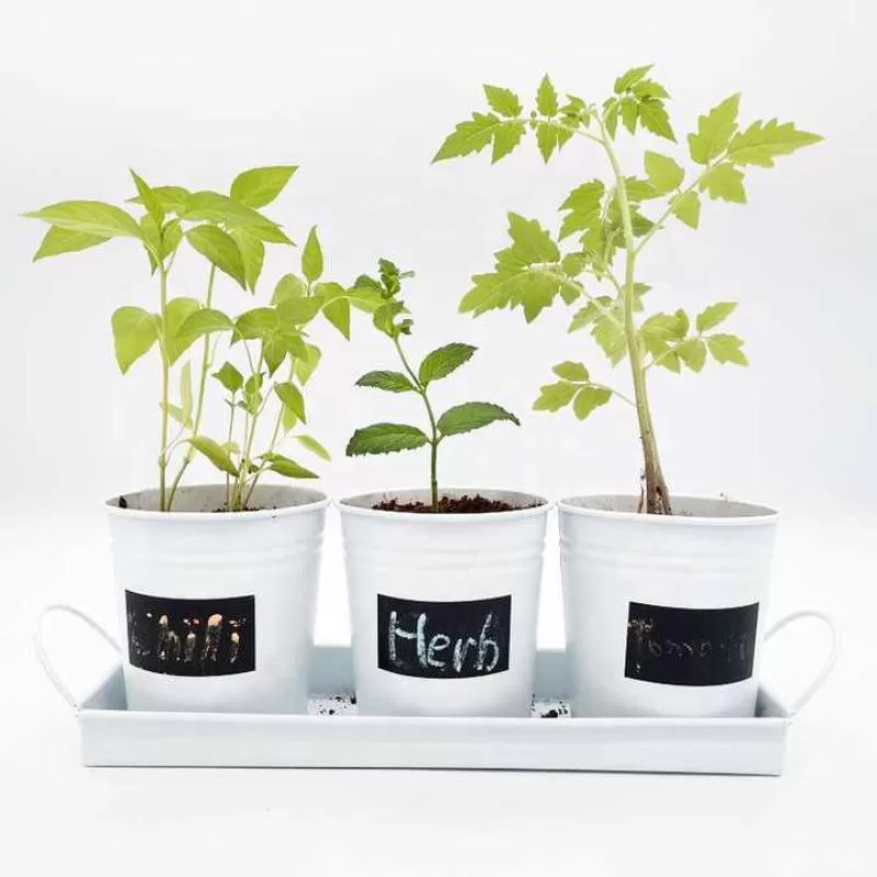 3 PC Metal Windowstill Pot Planter Indoor Herbs Growing Kit White Metal Flower Pot With Tray