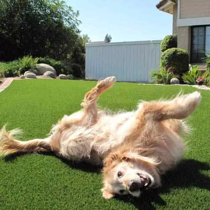 China  Pasto Sintetico Para jardin Cheap Artificial Turf Garden 45mm Artificial Grass China Landscaping Garden Grass Rug