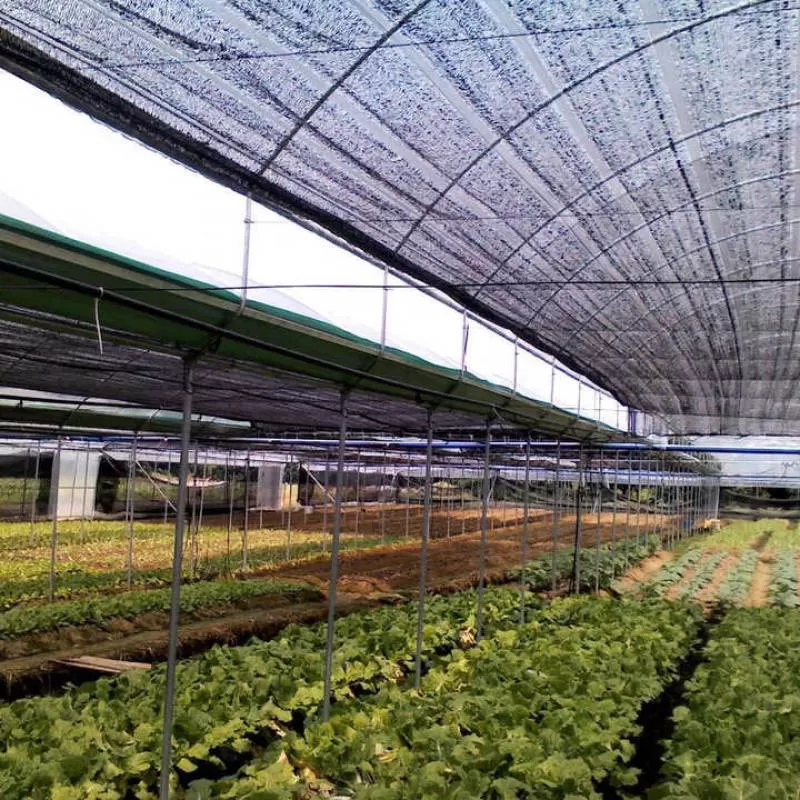 Factory Direct Supply  50GSM Agricultural Shade Net/Climate Control Shade Net Made by Virgin HDPE and UV Stability (Round Wire)