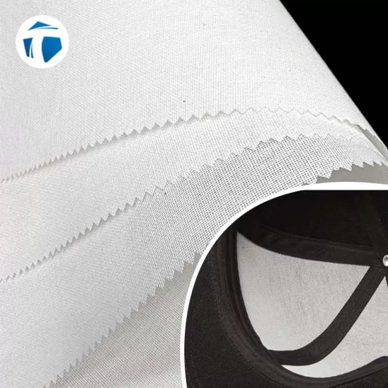 Plastic Breathable and Environmentally Friendly 100% Polyester Non Woven Fusible Cap Interlining Fabric