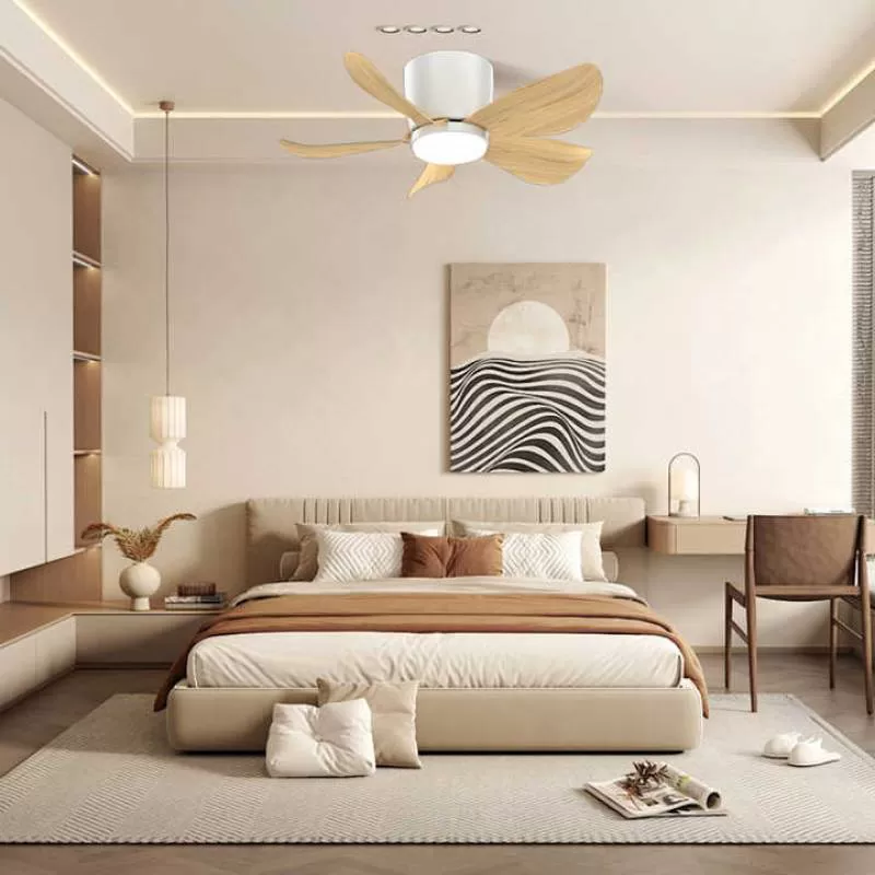 29 Inch 5 Blade Flush Mount Ceiling Fan Home Appliance Smart Ceiling Fan With Light Remote Control