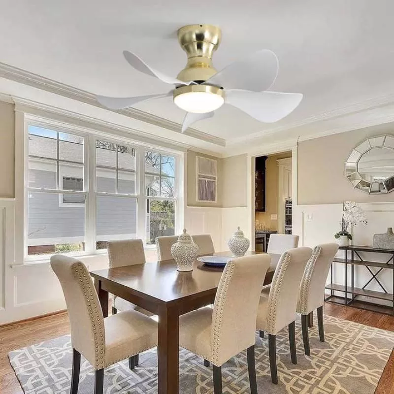 Contemporary Silent Ceiling Fan With Light Decoration Small Room Ceiling Fans