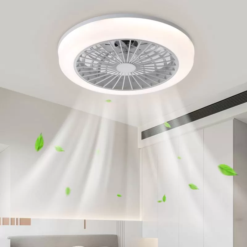 Netherlands TUYA Smart RGB 3 Colors Dimmable Smart App Control Modern Ceiling Fan With Led Light