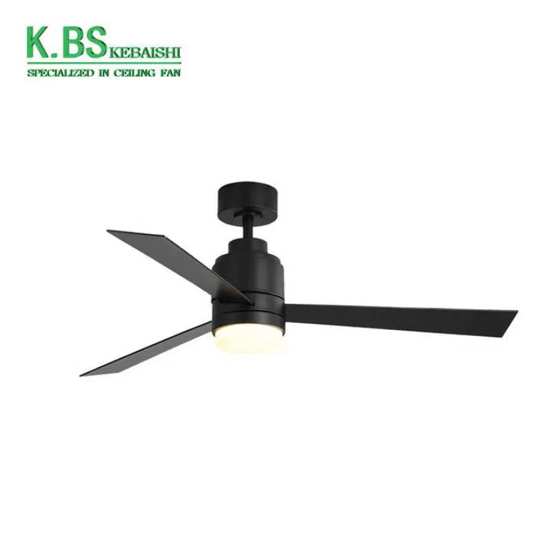 Home Appliance Ventilador De Techo Habitacion Remote Control Fan Ceiling Light With Led Light