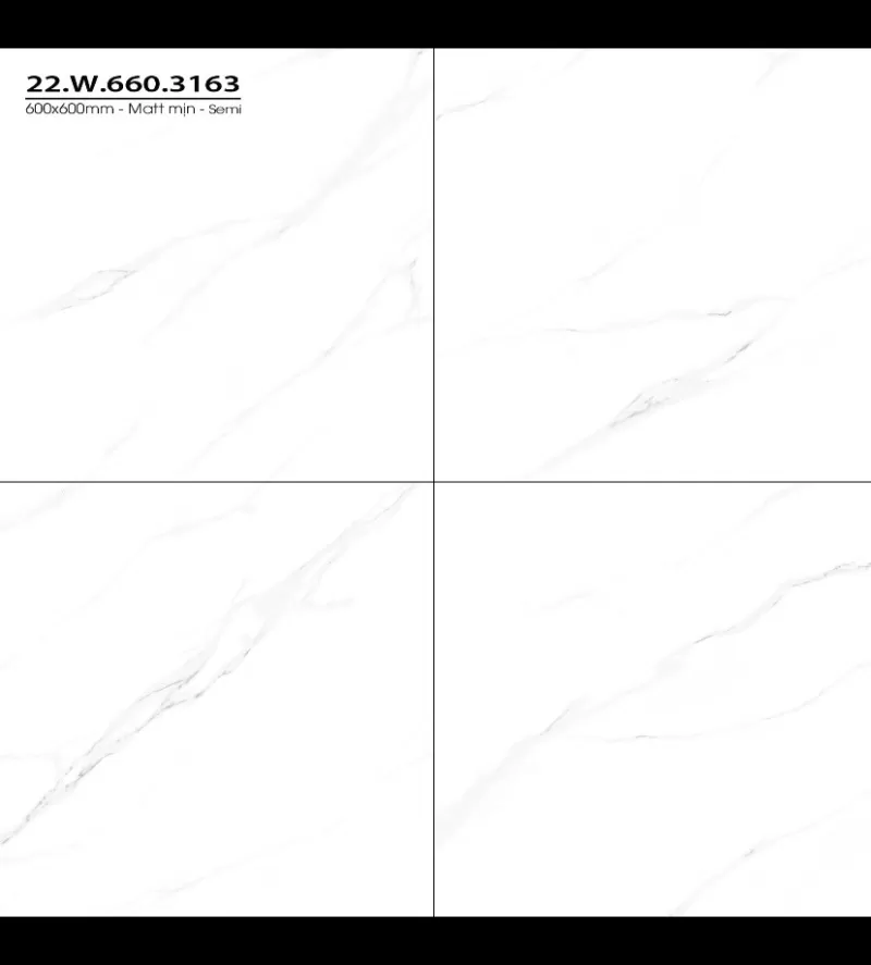 Gạch 600x600mm matt mịn xương đá 22W660.3163