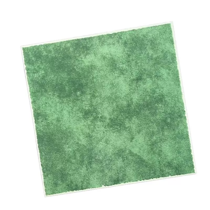 Modern Green Rustic Wall Border for Modern Room Construction 600x600 mm Matte Anti-Slip for Villas Dining Areas Apartments