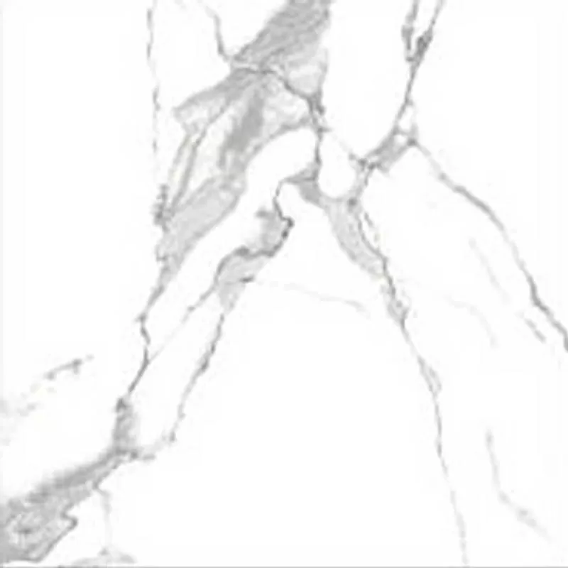 Manufacture for Home Prices in Rustic Floor Tile Indoor 600*600