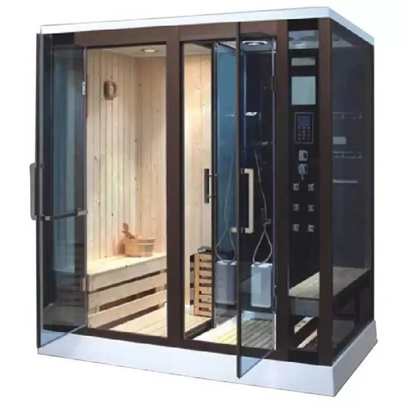 2 Person Dry and Wet Sauna Home Mini Infrared Sauna Room