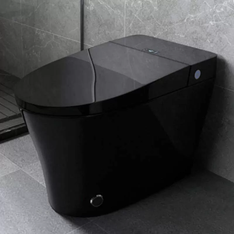 110V/220V Fully Automatic Luxury Modern Design Electronic Electric Bidet Siphonic Flush Black Intelligent Smart Wc Toilet
