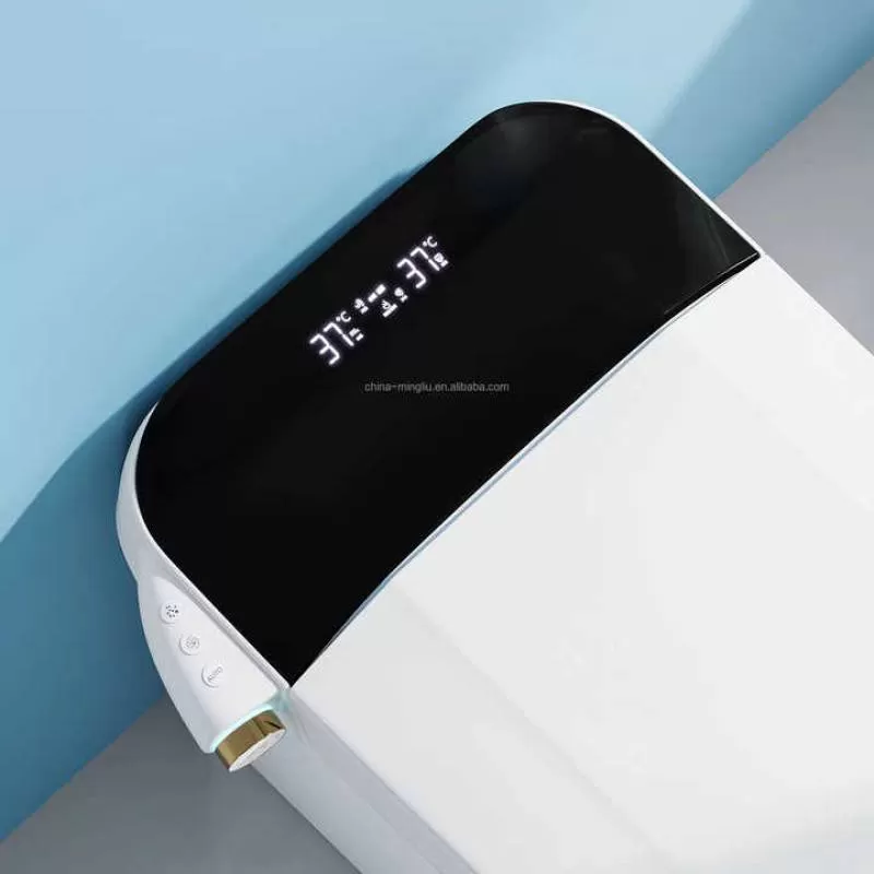 European Luxury Hotel Bathroom Integrated Intelligent Ceramic Toilet, City Apartment Bathroom Sensor Flushing Electric Toilet