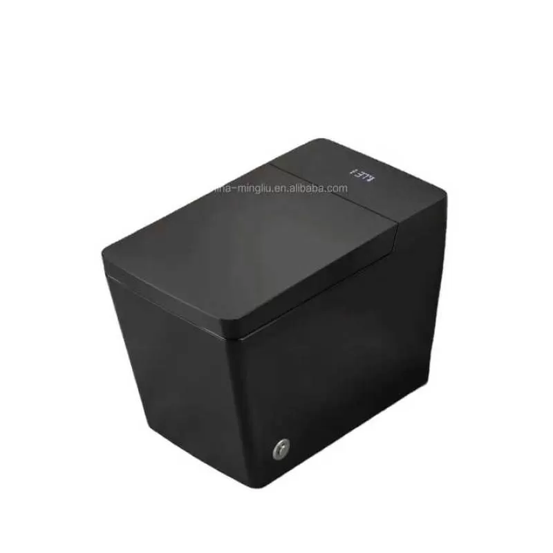 Smart Electric Toilet Black Flush Heated Seat Air-Drying Feature Floor Mounted Remote Controlled Luxury Hotel Toilet Equipment
