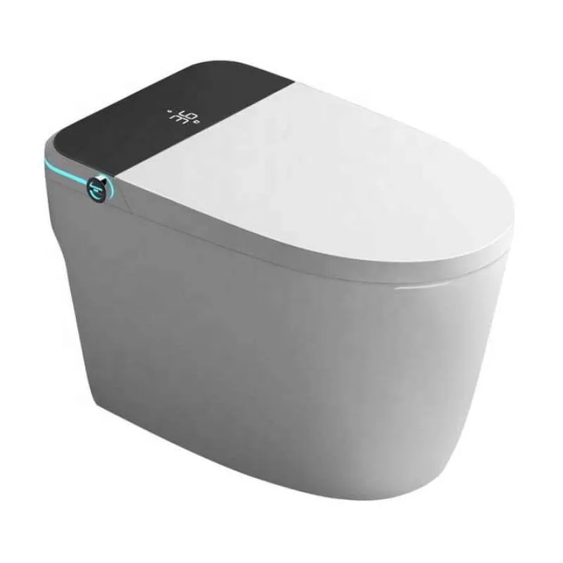 Eco-friend Bathroom Ceramic Electronic Water Closet Smart Toilet