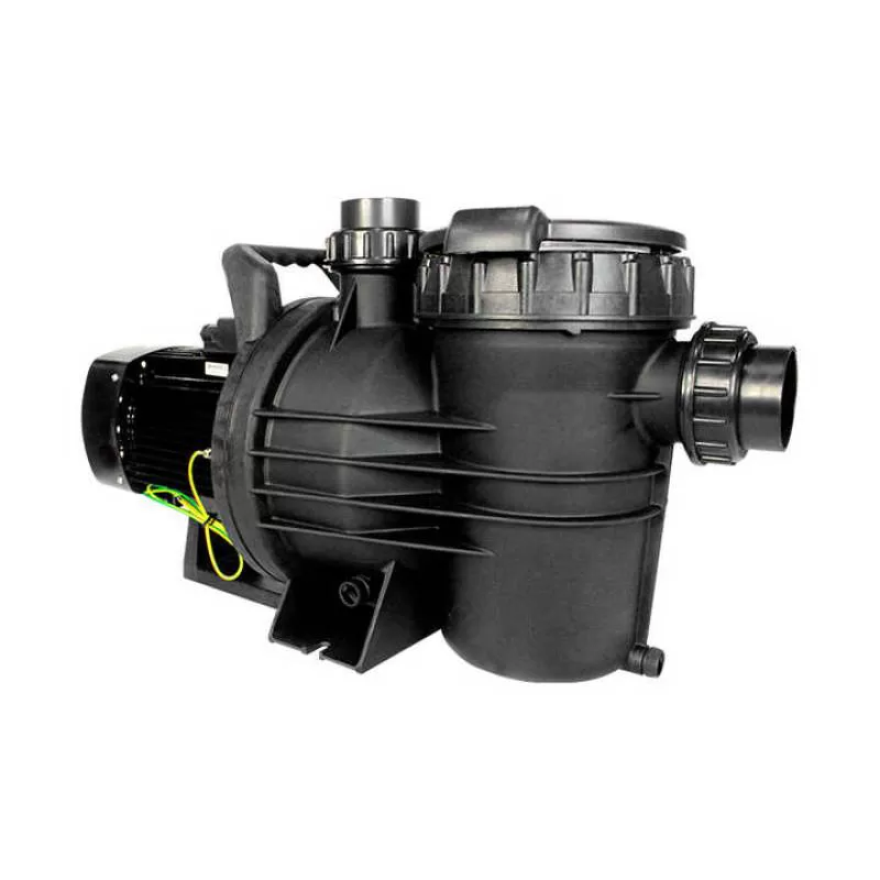 Pool Circulation Pump 110V 220v 2.5 hp 3hp Pump Pool Swimming Pool Water Pumps