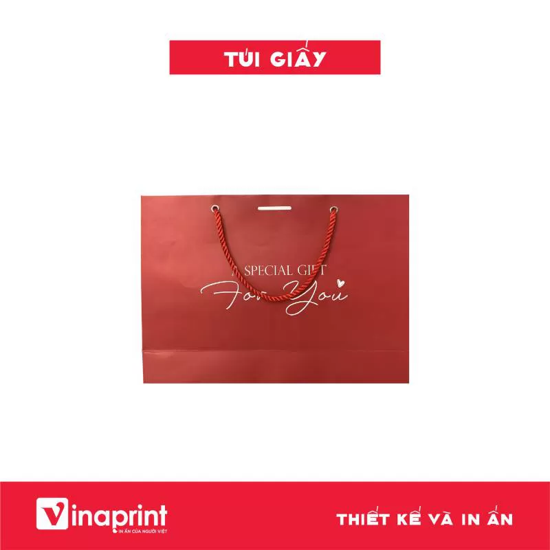 Mẫu túi giấy 34