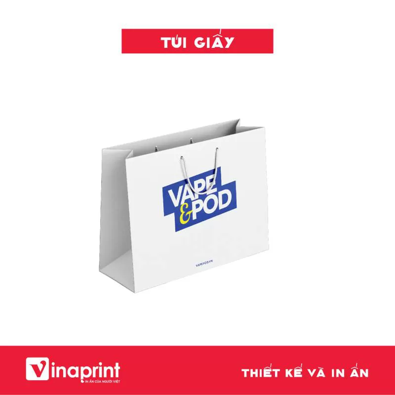 Mẫu túi giấy 30