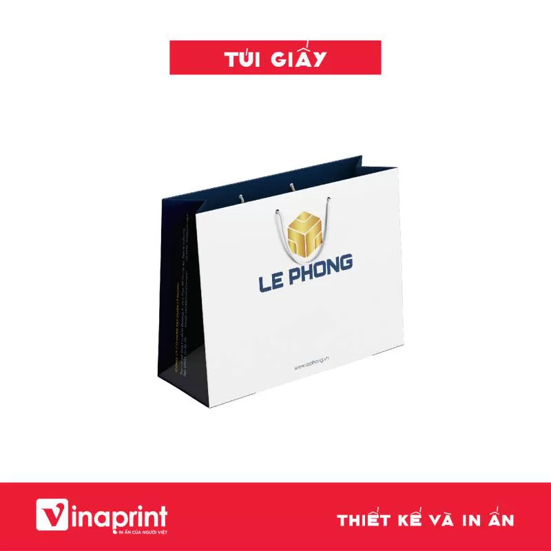 Mẫu túi giấy 33