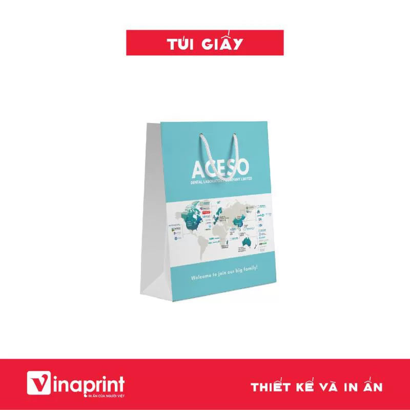 Mẫu túi giấy 24