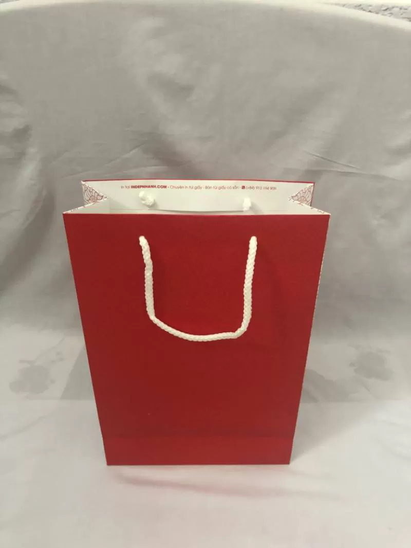 Túi giấy in màu 22x12x6 xỏ dây quai