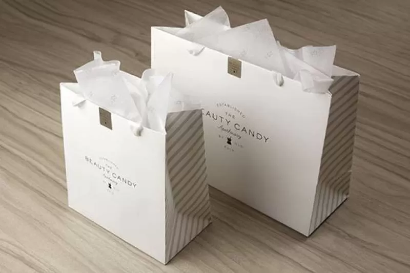 Túi giấy Cao cấp 1