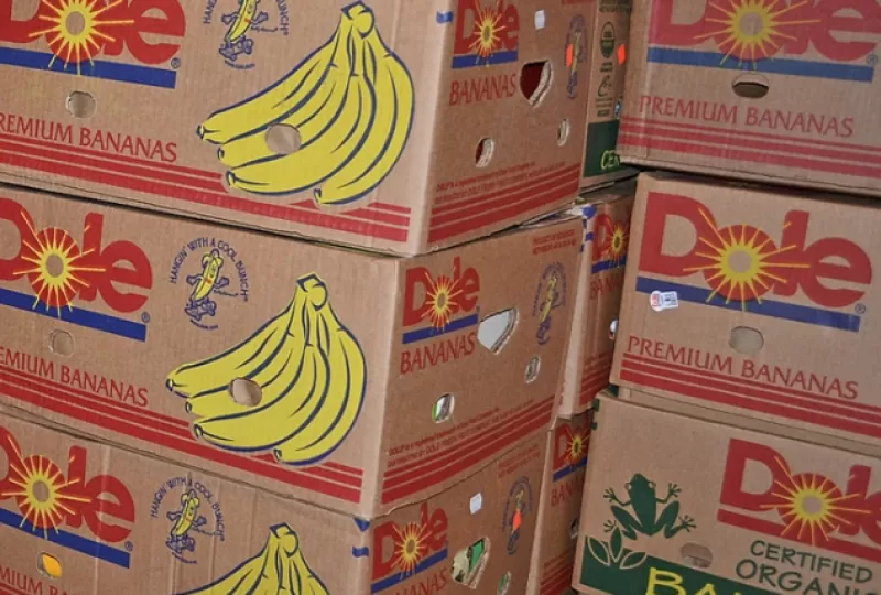 THÙNG ĐỰNG TRÁI CÂY THÔ