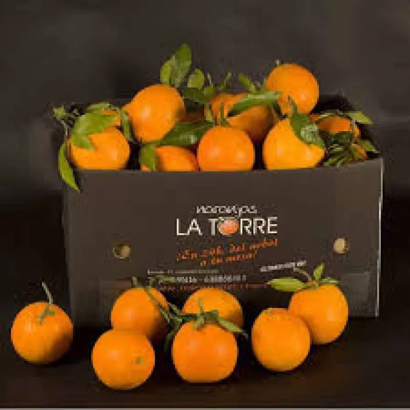 Thùng đựng trái cây