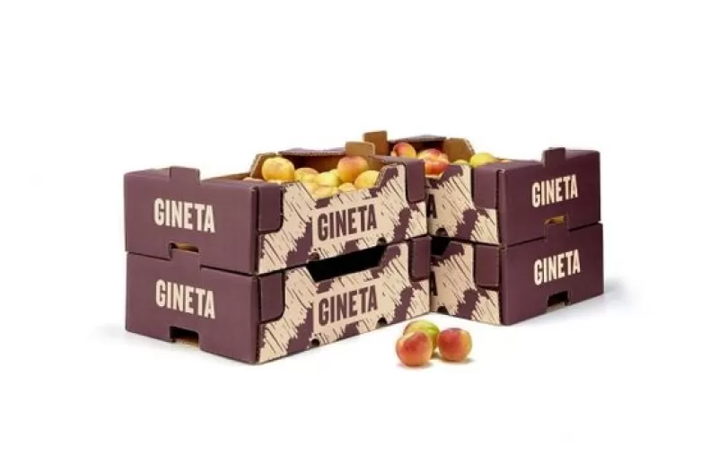 THÙNG ĐỰNG TRÁI CÂY CAO CẤP