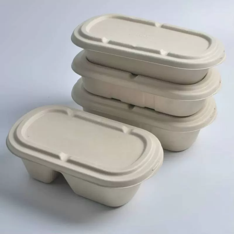 SenAng05 Factory Wholesale Disposable Paper 800Ml Sugarcane Pulp Food Lid Compartment Clam Shell Take Away Bagasse Box