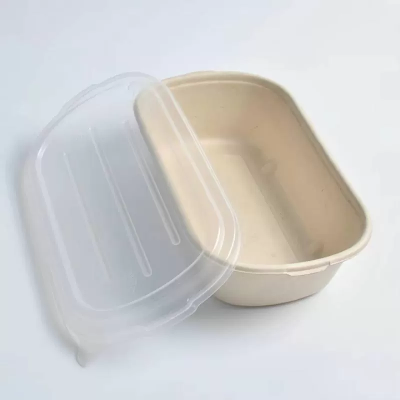 SenAng05 New Product 700Ml Sugarcane Tray Take Away Food Pulp Plate Multi Compartment Bagasse Lunch Box With Lid