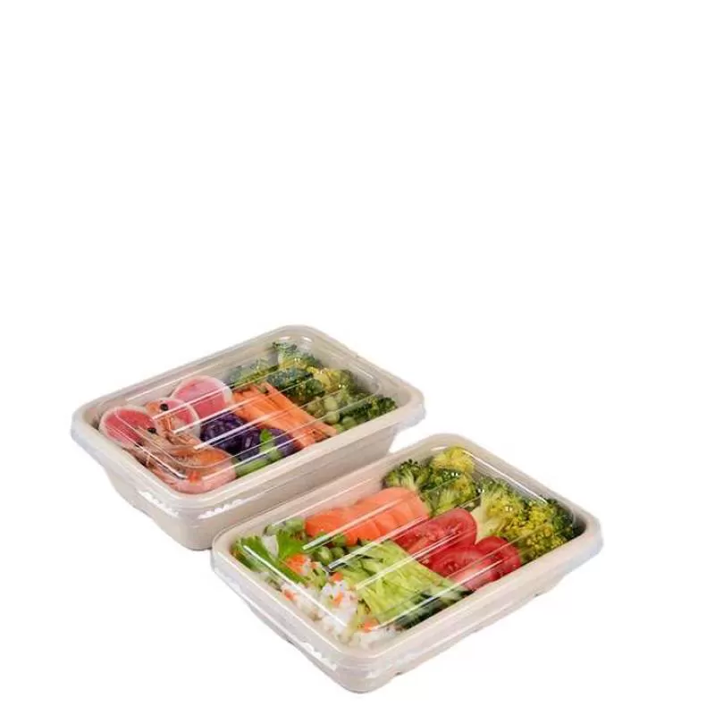 Senang 750ml Biodegradable Sugarcane Takeaway Rectangle Salad Bowl Bagasse Pulp Food Container