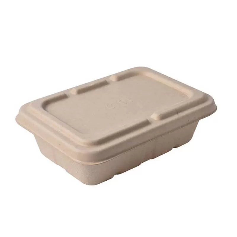 Senang01 700ml 850ml 1000ml Disposable Biodegradable Lunch Paper Pulp Bagasse Sugarcane Box