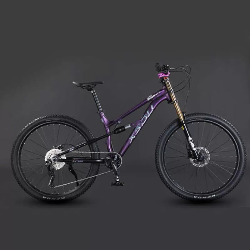 Customized 26 27.5 Inch Aluminum Alloy MTB 21 Speed Oil Disc Brake Suspension Fork Mountain Bicycle Road Bikes