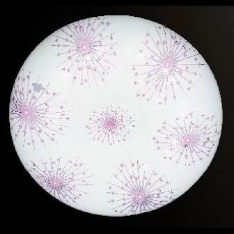 Đèn ốp trần Led MN-020 