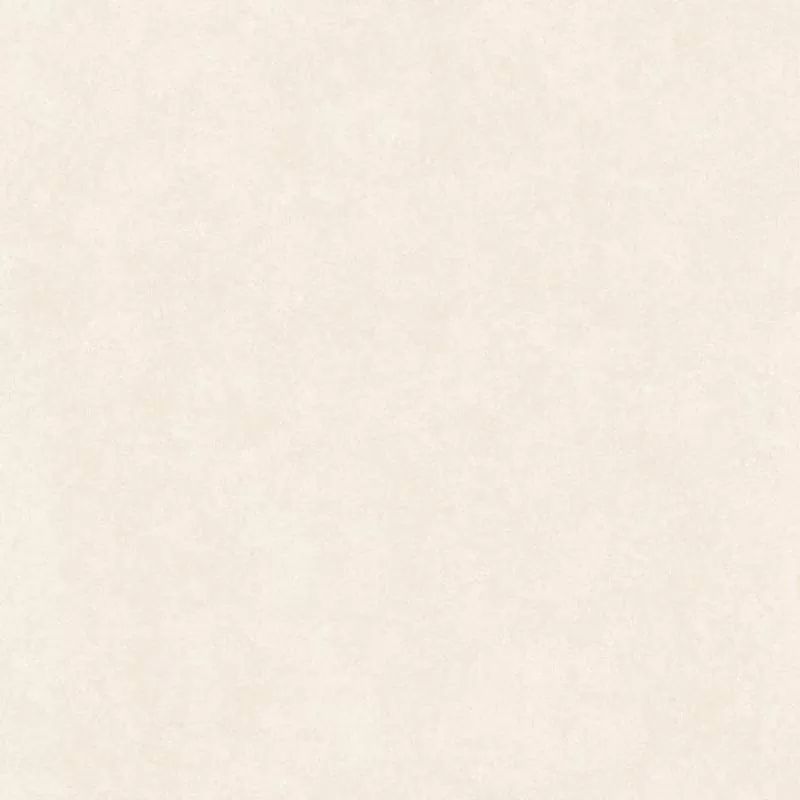 MF6 8672 – TRUNG ĐÔ