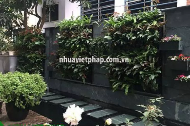 Vườn hoa tường đứng cho căn hộ của bạn