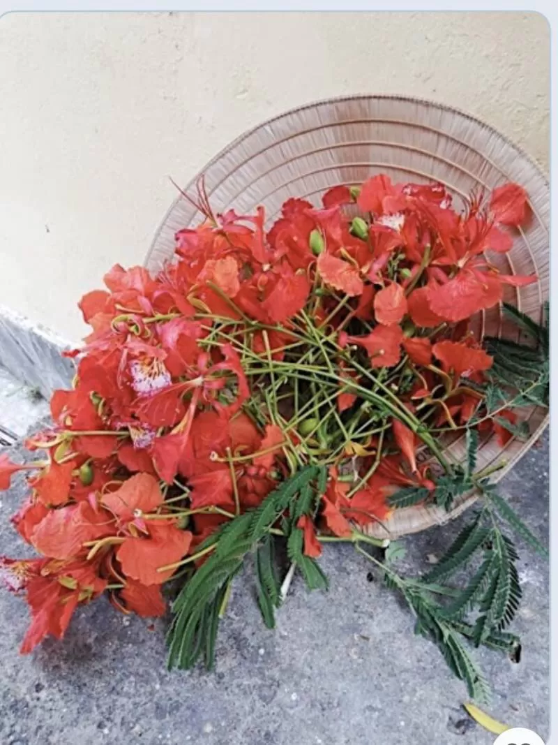 Thơ – diễm xưa