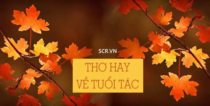 Ngữ văn 11 – đại học đông đô hà nội