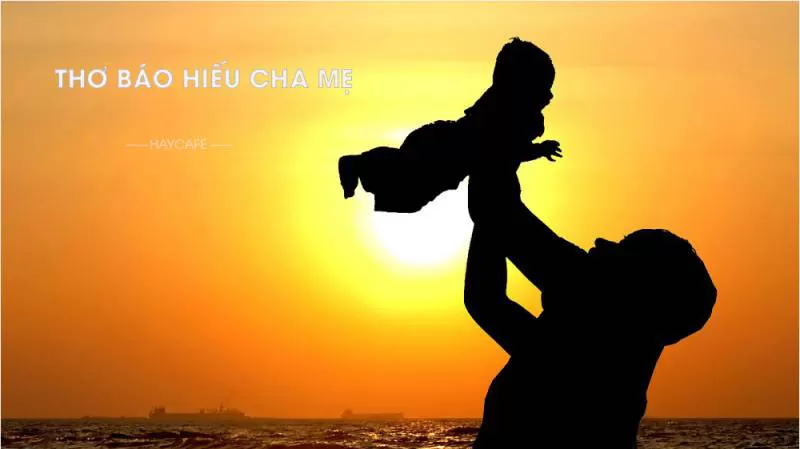 Chùm thơ báo hiếu cha mẹ sâu sắc, cảm động và tình nghĩa