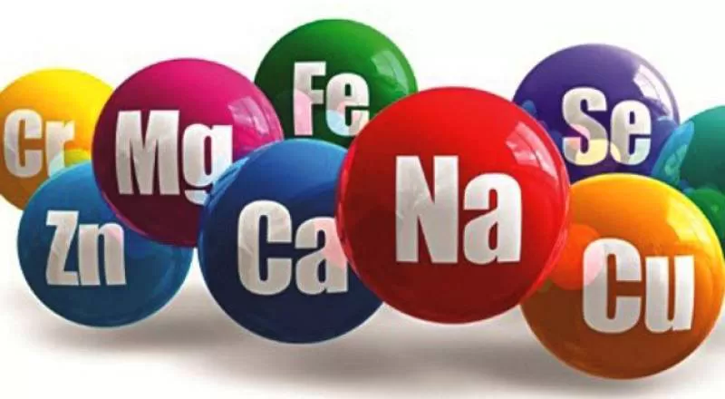 Lợi ích của khoáng chất trong nước đối với sức khỏe con người