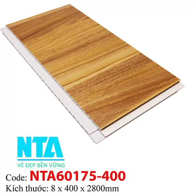 Tấm Ốp Tường NTA60175-400 