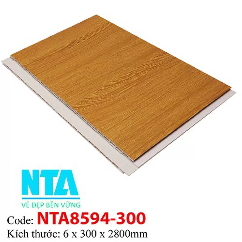 Tấm Ốp Tường NTA8594-300 